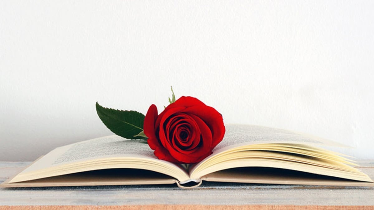 Recomendación de libros Sant Jordi 2025